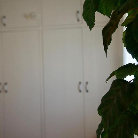 NavarrésCasa Reme别墅 外观 照片